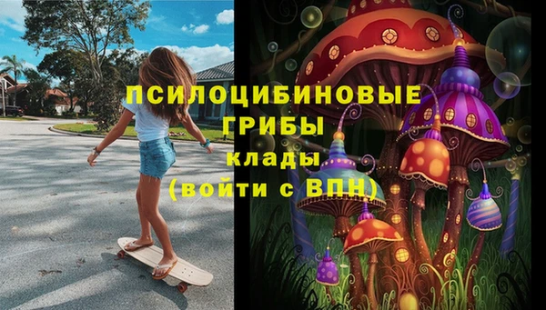 соль курить ск Алзамай